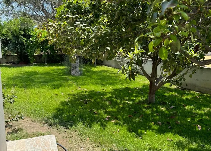 Fotis House * 阿凡投